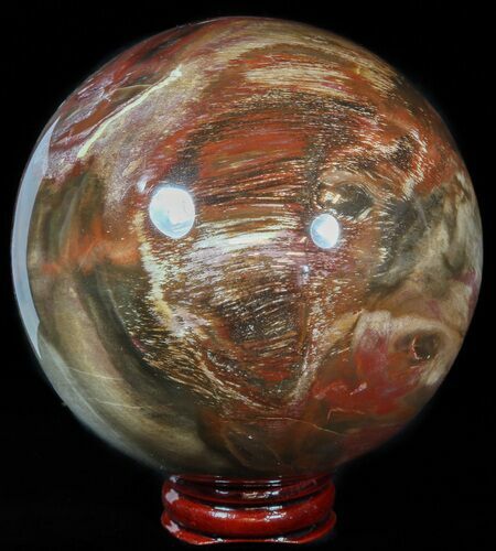Colorful Petrified Wood Sphere #49768